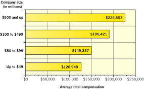 The average salary for a chief financial officer is $119,535 per year in canada. What Does It Take To Become A Cfo