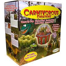Well constructed and a nice addition to a group of plants. Upc 851694000094 Dome Terrarium Carnivorous Creations Upcitemdb Com