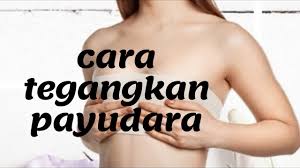Ketika ini ramai di antara kita langsung atau tidak langsung memperdulikan kesihatan zakar kita. 6 Tips Penjagaan Payudara Agar Tidak Kendur Youtube