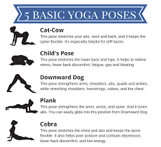 Yoga A Guide For Beginners Basic Yoga Poses Basic Yoga Yoga For Balance