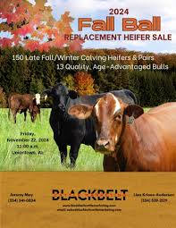 2020 UWRF Falcon Premier Catalog by briclynbonin21