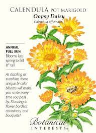 Pin On Gardening