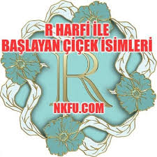 R Harfiyle Baslayan Cicekler Bas Harfi R Olan Cicek Isimleri Nkfu