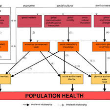 Pdf The Health Impacts Of Globalisation A Conceptual Framework