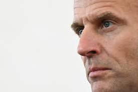 James Fairley obituary: Zoologist who brought rigour and zest to study of  Ireland's mammals