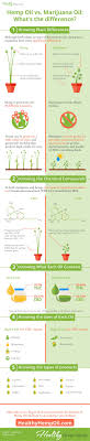 Hemp Vs Pot Cbd Oil