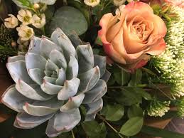 See more ideas about mothers day flowers, flowers, flower arrangements. Roly Cooke On Twitter Our Proposition For A Mother S Day Bouquet Unusual Cappuccino Roses With A Couple Of Beautiful Succulents One Of My Favourite Ones Channel103 Easyjet Flyjersey Jepnews Condor Ferries