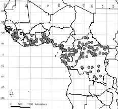 Image result for Hexalobus mossambicensis