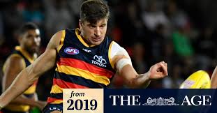 Crows football team rugby club celebrities. Afl Adelaide Crows Suspend Patrick Wilson Over Drink Driving