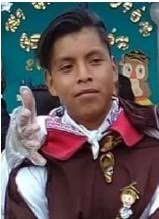 Alerta AMBER México