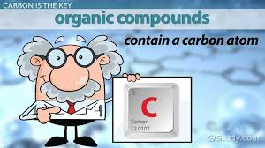 Naming Organic Compounds Rules Practice