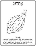 Shirlala Blog Archive Etrog Printable Coloring Page Sukkot Etrog Sukkot Activities