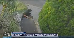 Daca ati vrea sa fac si un clip despre glovo, lasati un like si un subscribe! Uber Eats Driver Allegedly Stole Patrick Lewis Cat Hog