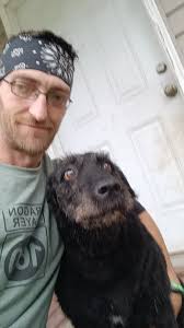 Found fat and healthy dog