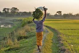Summer is the hottest of the four temperate seasons, falling between spring and autumn. Why Bangladesh Has Six Seasons Instead Of Four Latest Science News And Articles Discovery