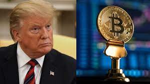 Scientific model of bitcoin process. Bitcoin Unphased By Trump S Crypto Twitter Tirade Says Coincorner Ceo Tradersdna Resources For Traders Investors For Forex Stocks Commodities Bitcoin Blockchain Fintech And Forum