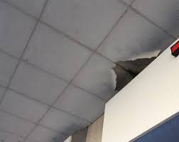 Check spelling or type a new query. R B Asbestos On Twitter Asbestos Ceiling Tiles Underlined To A Canopy In Front Of A Shop Leak Causing Problems Manage Asbestos Http T Co Yqqf3nihjq