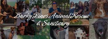 7201 b lake worth rd, lake worth, fl 33463 petsupermarket royal palm beach|1125 royal palm beach blvd, royal palm beach, fl 33411 petsupermarket. Barky Pines Animal Rescue Sanctuary South Florida Animal Rescue