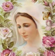 بركه القديس شربل العجائبي