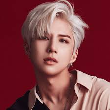 a c e wow fandom modelos k idols
