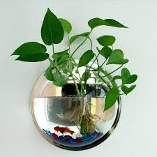 If you're going to make some kind of wall hanging from scratch, would you rather create something have you made other kinds of awesomely unique diy wall hangings before that you were very happy with indeed and maybe even still have on display. Clear Potted Plant Wall Hanging Bubble Fish Bowl Tank Aquarium Decoration Diy Set Home Accessories Free Shipping Buy At The Price Of 5 49 In Aliexpress Com Imall Com