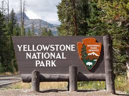 The following 14 files are in this category, out of 14 total. Forrest Fenn Treasure Hunter Jailed For Digging Up Yellowstone Cemetery The Independent