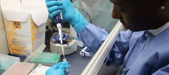 En el varón, debido a una disrupción en la barrera. Tener Anticuerpos No Significa Ser Inmune Al Coronavirus Noticias Onu