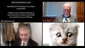 A zoom court hearing in texas took a detour when an attorney showed up looking like a kitten. Texas Attorney Uses Cat Zoom Filter In Virtual Court Appearance Wfaa Com