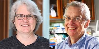 Monkeypox Rapid PCR Test in Development