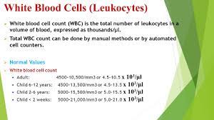 An increase in white blood cells is known as leukocytosis. White Blood Cells Count Ppt Video Online Download