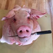 Testa Di Maiale Pork Head Butchery Butcher Butchery Butcher Pork