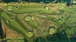 Image result for Lawsonia