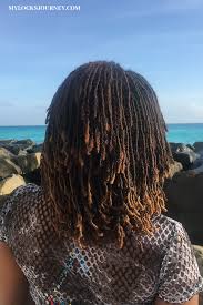 How To Care For Locs In 2020 Locs Hairstyles Natural Hair Styles Natural Hair Updo