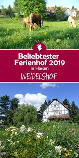 Beliebtester Ferienhof 2019 In Hessen Ist Der Weidelshof Ferien Mit Kindern Urlaub Urlaub Auf Dem Bauernhof