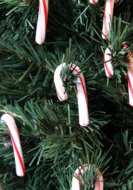 The first recorded 'candy stick' comes from 1837 at an exhibition in massachusetts in the usa. Candy Cane Christmas Tree Is Easy Table Decoration Earning And Saving With Sarah