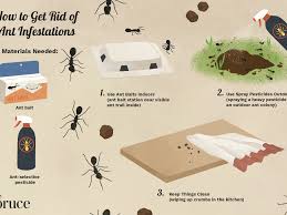Maybe you would like to learn more about one of these? How To Get Rid Of Ants In The House