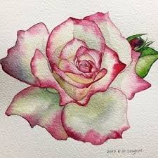 Eliza Nolan (elizanolan)