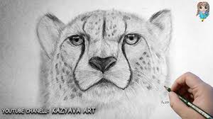 pin na doske animal