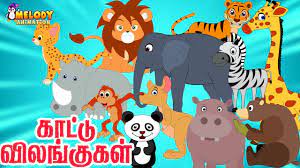 Wild Animals In Tamil Animal Names In Tamil Learning Made Easy Tamil Kids Animation Youtube