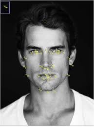 The Face and Sexual Orientation: Comprehensive Exploration of Measurable  Facial Differences between Heterosexual and Homosexual