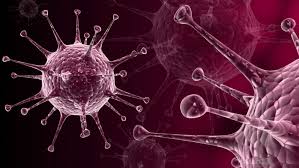 Extra Large 1471358712 Herpes Virus Jpg 1100 619 Skin Cancer Herpes Cold Sore