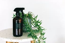 Which essential oils are best to get rid of ticks? Natural Plant Spray For Indoor Outdoor Plants Recipes With Essential Oils