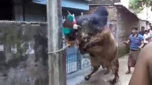 Share this video on facebook. Playtube Pk Ultimate Video Sharing Website