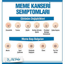Meme Kanserinde Erken Teshis Ve Farkindalik Icin Bizim Yapabileceklerimiz Arasinda Kendi Ke Meme Kanseri Alternatif Saglik Menopoz