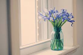 احيانا يكون الصمت درسا مفيدا لتعليم الاخرين ادب الحوار Vase Glass Vase Flowers