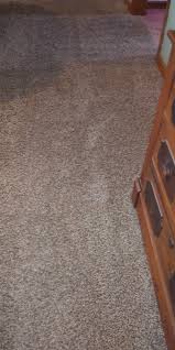 Check spelling or type a new query. Lowes Customer Service Complaints Department Hissingkitty Com