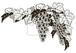 Coloriage pêche en ligne gratuit à imprimer. 32 Idees De Motifs Vignes En 2021 Vigne Pied De Vigne Cep De Vigne