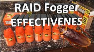 Gas oven not heating up? Raid Roach Fogger Effectiveness Army Of Cockroaches Exterminated Youtube