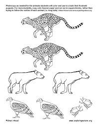 learn about food webs and african grasslands from exploringnature org animal outline food web explore nature