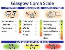 E4 s4 m6 = gcs 14. Dr Eli The Glasgow Coma Scale Gcs Is Used To Facebook